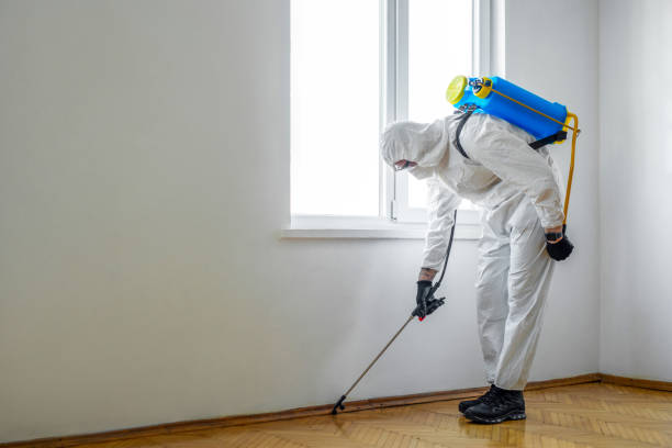 Best Residential Pest Control  in Concord, MI